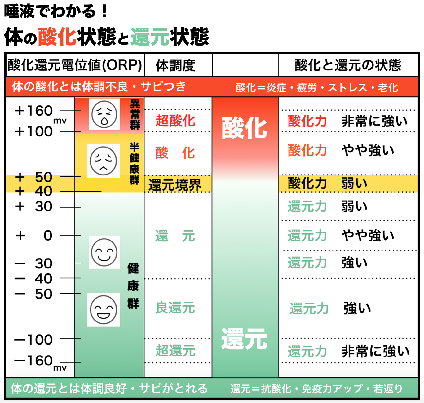 酸化度が見える生活